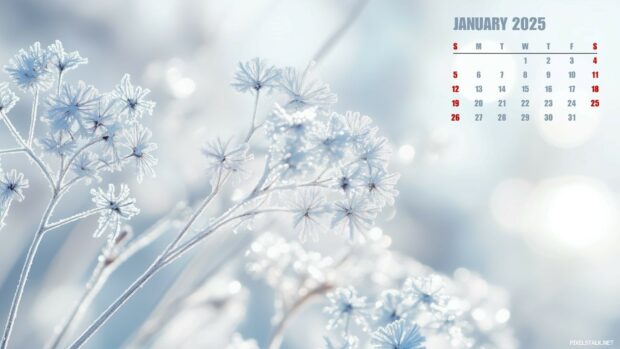 2025 January Calendar HD Wallpaper Free download.