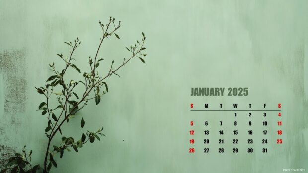 2025 January Calendar Image Free Download.