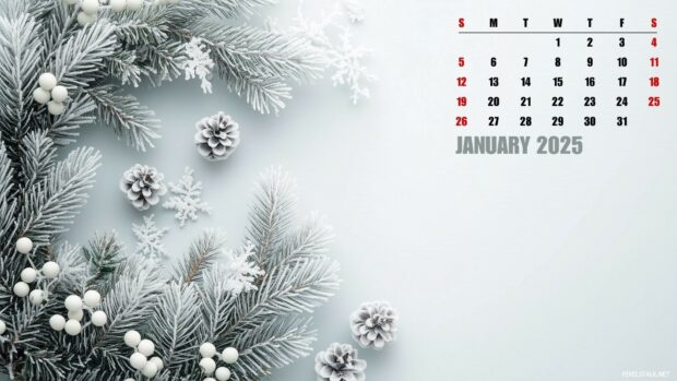 2025 January Calendar Wallpaper Computer free download.