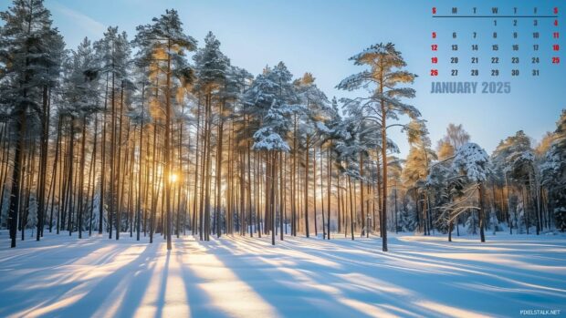 2025 January Calendar Wallpaper HD.