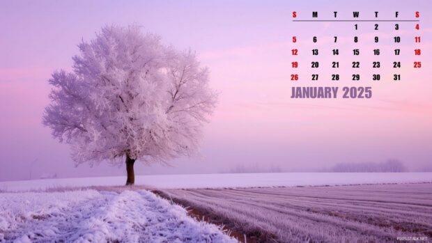 2025 January Calendar Wallpaper for Desktop.