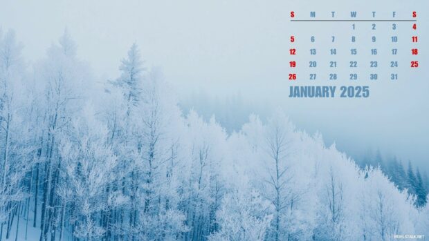 2025 January Calendar Wallpaper for Windows Desktop.