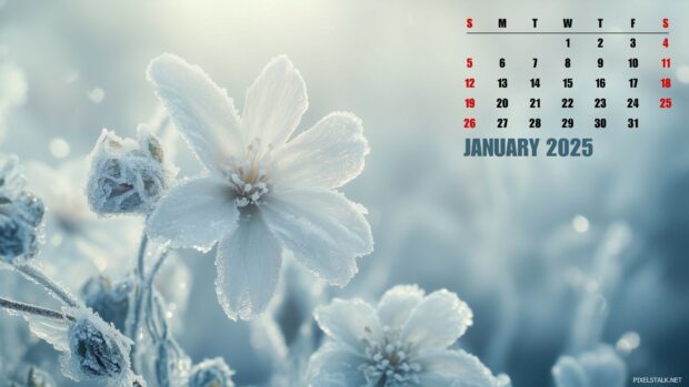 2025 January Calendar Winter Wallpaper HD for Desktop.