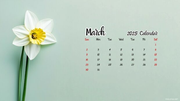 2025 March Calendar Background for Desktop 2.