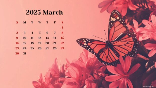 2025 March Calendar Background for Desktop 3.