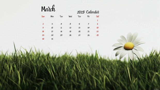 2025 March Calendar Background for Desktop 5.