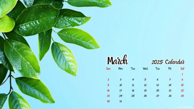 2025 March Calendar Desktop HD Wallpapers 2.