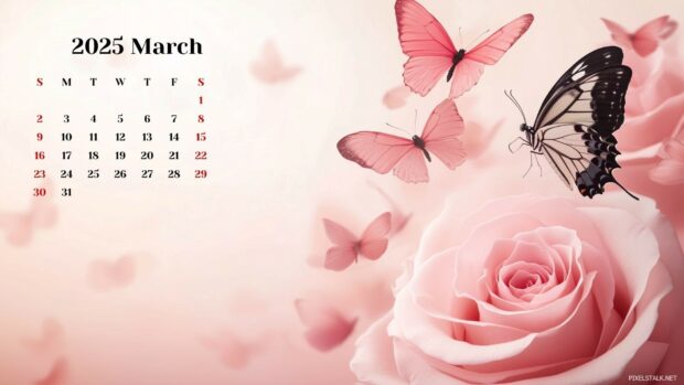 2025 March Calendar Desktop Wallpapers Free Download 1.