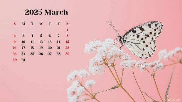 2025 March Calendar Desktop Wallpapers Free Download 3.