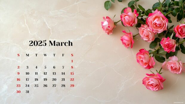 2025 March Calendar Desktop Wallpapers Free Download 4.