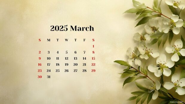 2025 March Calendar Wallpaper HD 2.