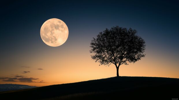 4K Resolution Wallpaper with a lone tree standing on a hill, silhouetted against a full moon glowing in a clear night sky, with soft moonlight spreading across the field.