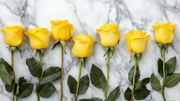 A beautiful of yellow roses intertwined with green leaves.