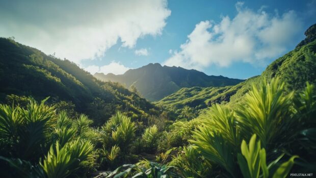 A breathtaking view of a volcanic mountain surrounded by lush tropical greenery and clear skies, desktop wallpaper HD.