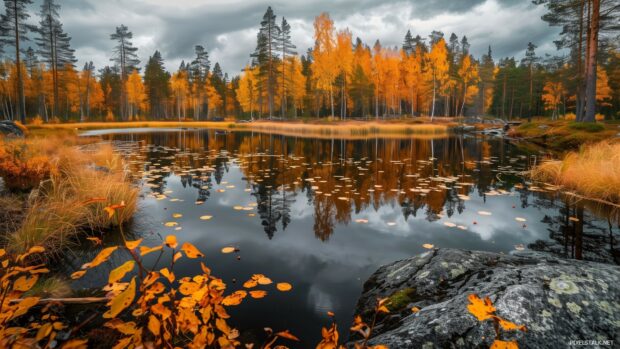 A calm lake surrounded by autumn foliage 1080p Background with reflections in the water.