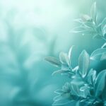 A calming green leaf wallpaper HD with a soft focus background of overlapping leaves.