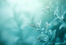 A calming green leaf wallpaper HD with a soft focus background of overlapping leaves.