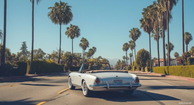 A convertible Car 1080p full HD background with with its top down, driving through a palm tree lined boulevard.