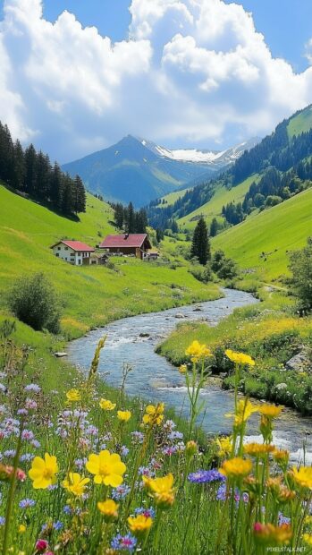 A cool mountain valley with a meandering river and vibrant wildflowers in bloom.