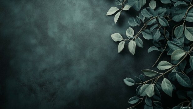 A dark green 2K wallpaper with a faint, elegant leaf motif subtly integrated into the design.