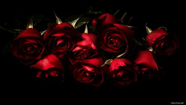 A dramatic arrangement of dark roses in a shadowy setting.