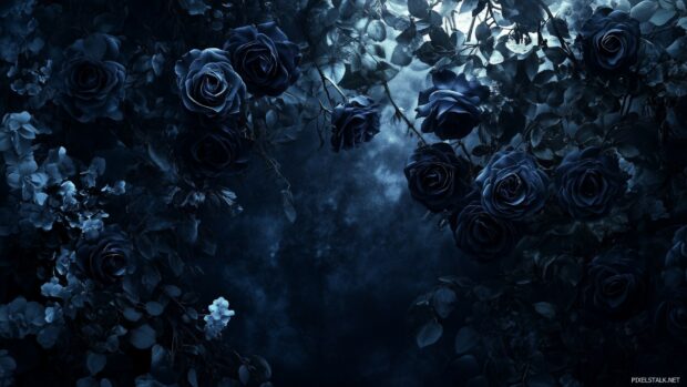 A dramatic arrangement of dark roses in a shadowy setting, illuminated by soft light that accentuates their rich hues and creates a sense of mystery (2).