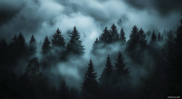 A dramatic dark forest scene features misty fog rolling through dark, towering trees.