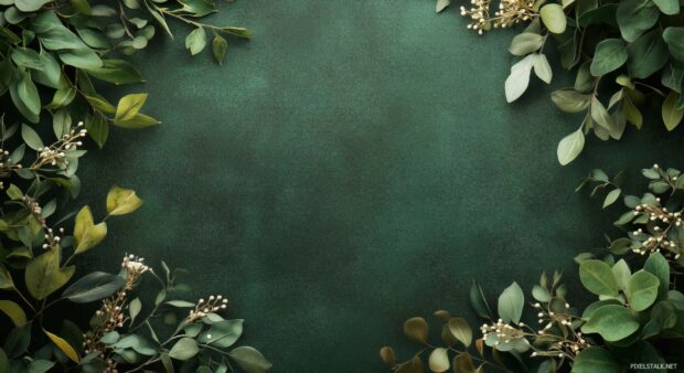 A forest green HD wallpaper with a smooth, matte finish, conveying a sense of sophistication and serenity.