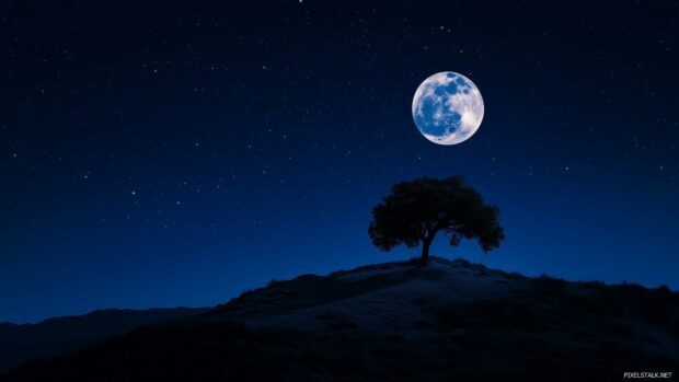 A glowing full moon illuminating a cloudless night sky, with a silhouette of a lone tree on a hilltop.