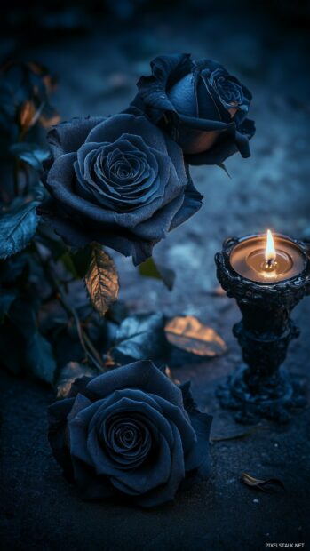 A hauntingly beautiful arrangement of black roses in a dark setting.