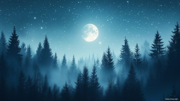 A magical night scene with the moon glowing softly above a misty forest, stars twinkling faintly in the background.