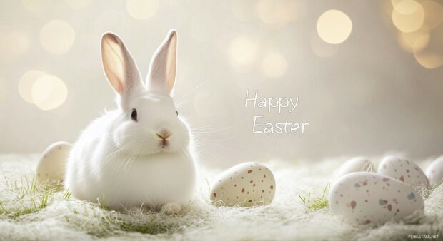 A minimalist Easter Bunny wallpaper with Happy Easter elegantly placed at the center, surrounded by soft light, gentle hues, and delicate Easter decorations.