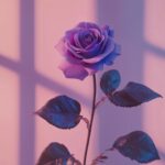 A minimalist composition showcasing a single purple rose against a blurred pastel background, highlighting its elegance.