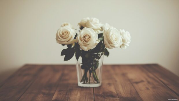 A minimalist white roses arranged in a simple glass vase on a wooden table.