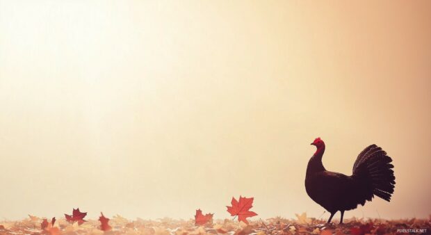 A minimalistic Thanksgiving desktop background with a single turkey silhouette and a few autumn leaves.