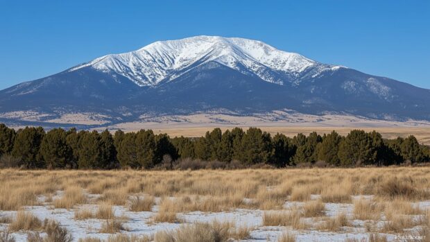 A peaceful snow capped Mountain range with evergreen trees in the foreground.