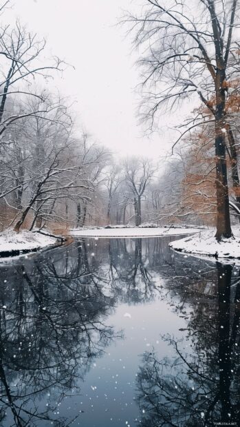 A peaceful winter lake surrounded by snow laden trees, phone wallpaper.