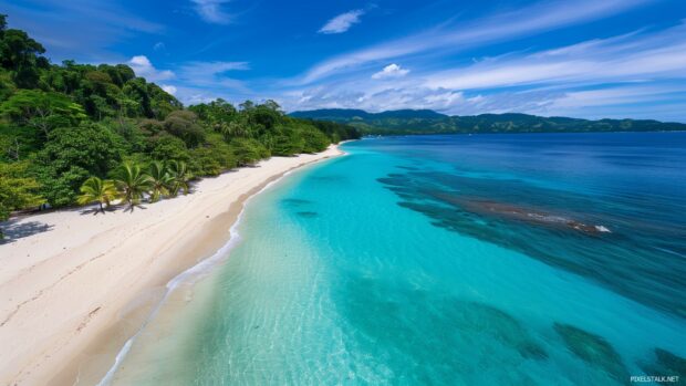 A pristine Fiji beach 1080 desktop background with crystal clear turquoise waters and white sand, surrounded by lush palm trees.