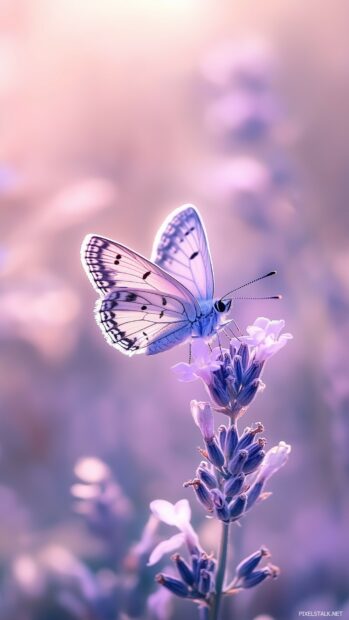 A purple butterfly with intricate wing patterns gently landing on a pastel colored flower, with natural light enhancing its vibrant colors and delicate details.