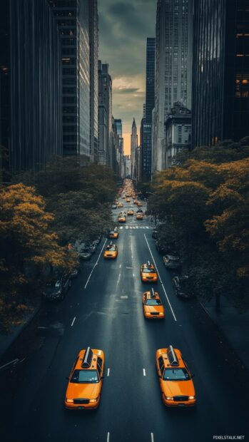 A quiet New York City street with just a few yellow cabs passing by.