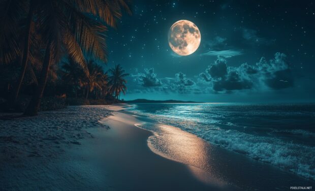 A quiet beach scene under moonlight.