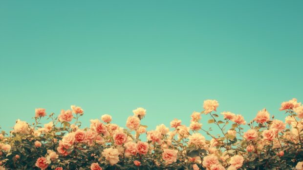 A row of pastel colored flowers at the bottom, with a clean blue sky.