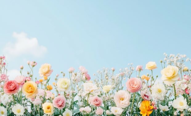 A row of pastel colored flowers at the bottom, with a clean blue sky.