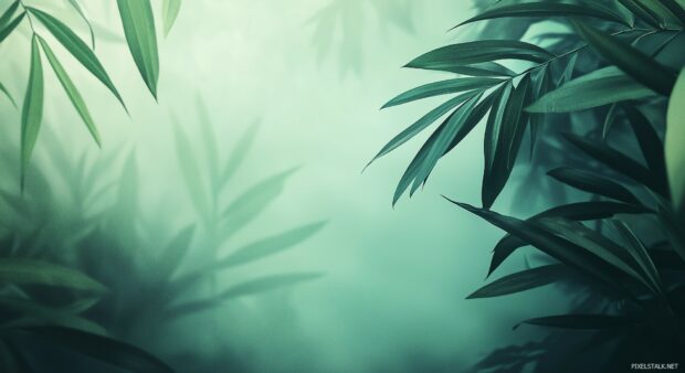 A serene aesthetic green desktop wallpaper with a subtle gradient effect, creating a calm and sophisticated ambiance.