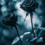 A serene image of black roses set against a deep, moody background with soft lighting.