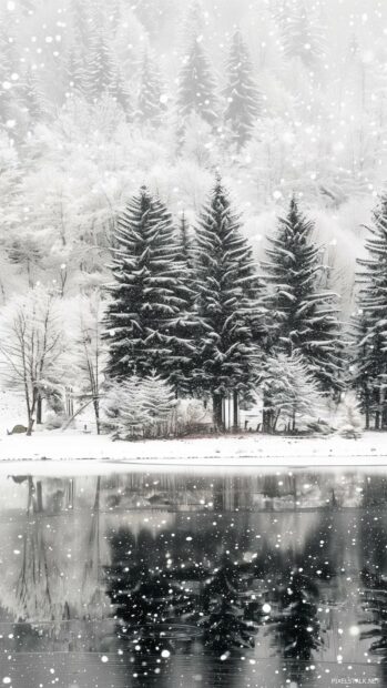 A serene winter phone wallpaper HD with snow covered trees and a frozen lake.