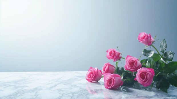 A simple bouquet of pink roses on a marble surface, with a clean, white background.