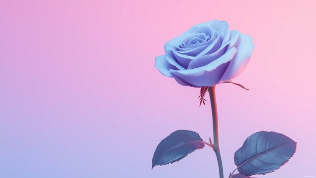 A single purple rose 4K wallpaper against a blurred pastel background, highlighting its elegance.