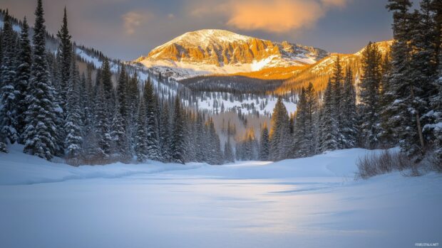 A snow covered cool mountain peak glowing under the golden hues of a sunrise.