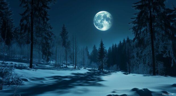 A snowy landscape glowing under the full moon, with tall trees casting long shadows on the pristine snow.